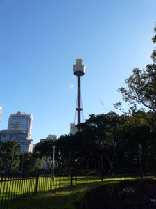 Sydney Tower from the Park