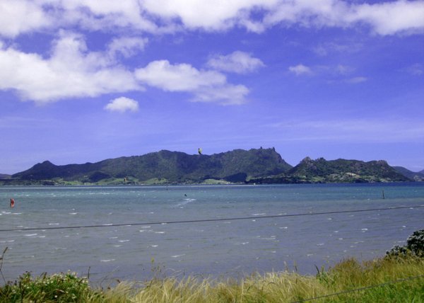 Surfers Near One Tree Point