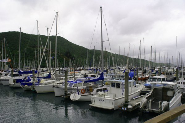 Picton Marina