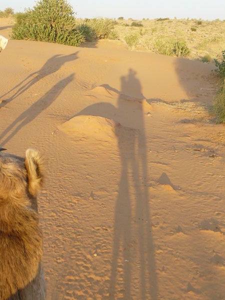 shadows of desert