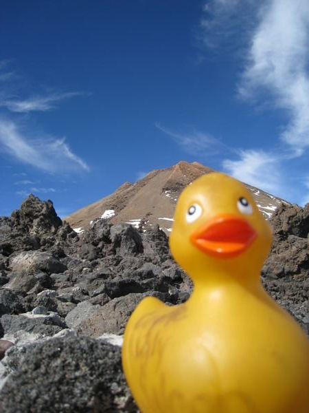 Ducky near the top of Teide