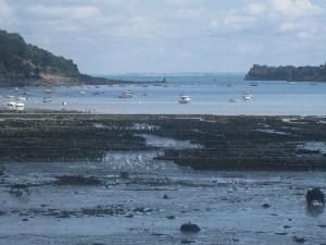 Cancale Oyster Farms