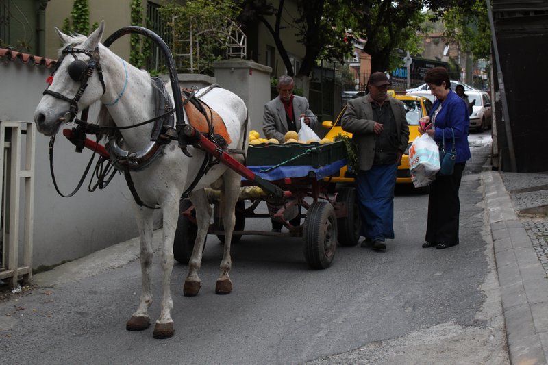 Horse and taxi