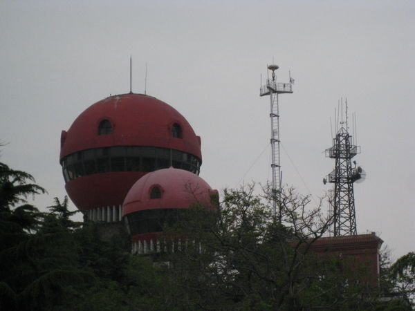 Mushroom Observatory