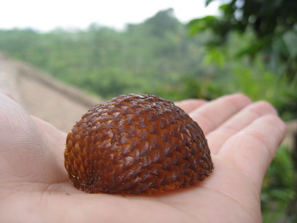 Snakeskin Fruit