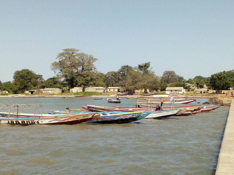 Gambia River.