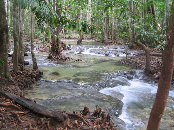 Parque Nacional, Krabi
