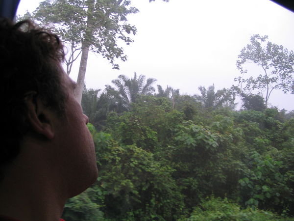 Selva malaya