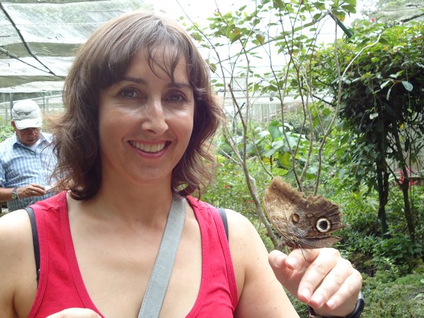 Me and the butterfly