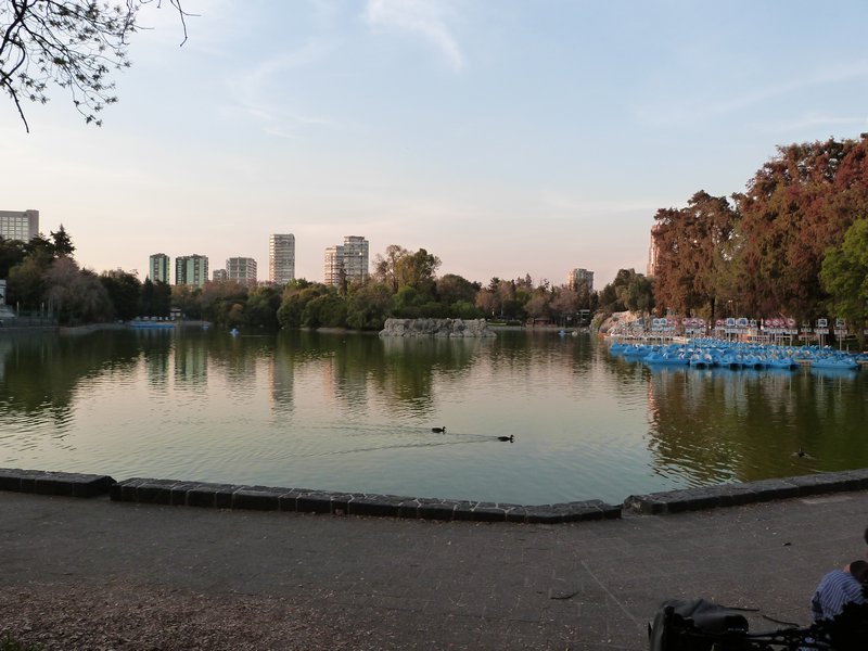 La laguna in the park