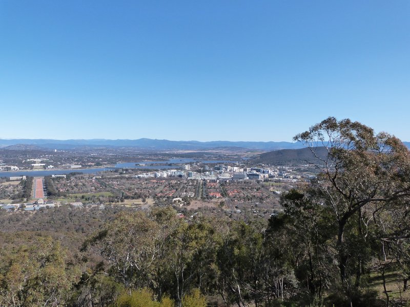 The view from Mt Ainslie