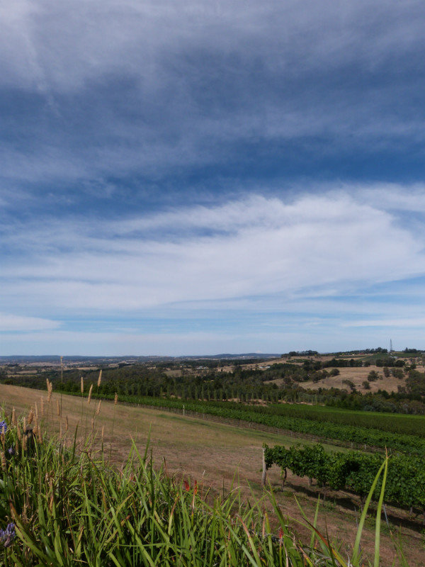 View from Borrodell winery