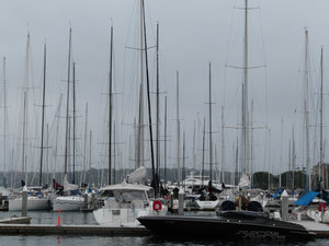 Rushcutters Bay on a gloomy summer's day