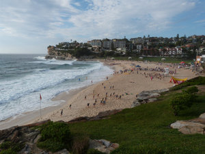 Nippers get started on their training at Bronte