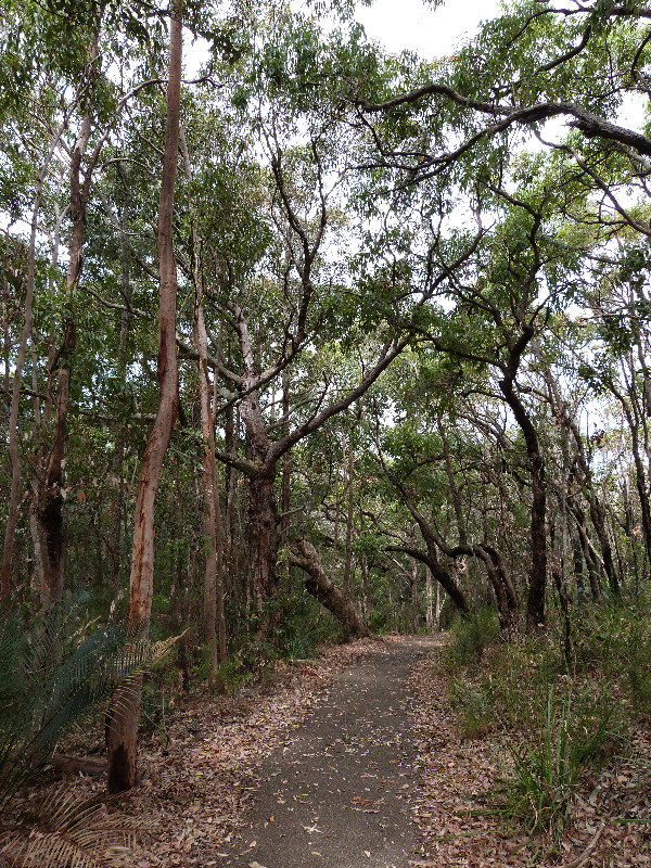Boudhi National Park, NSW