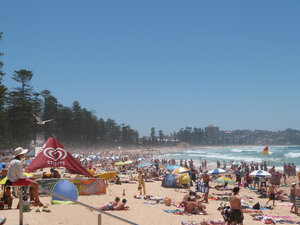 Manly beach, January
