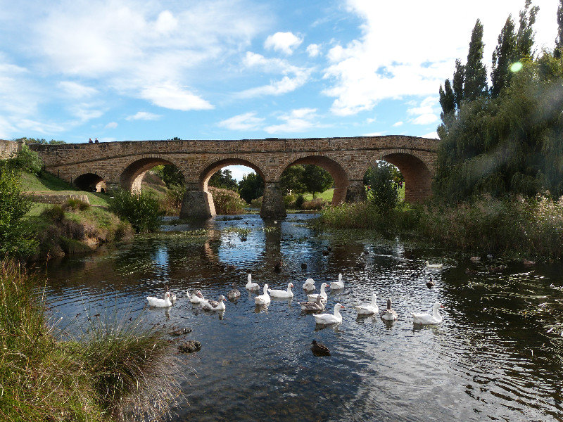 The old bridge, even prettier with ducks and geese