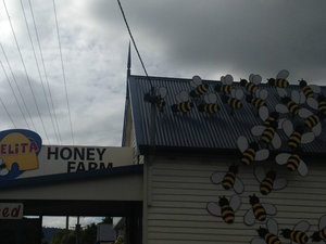 Honey factories...
