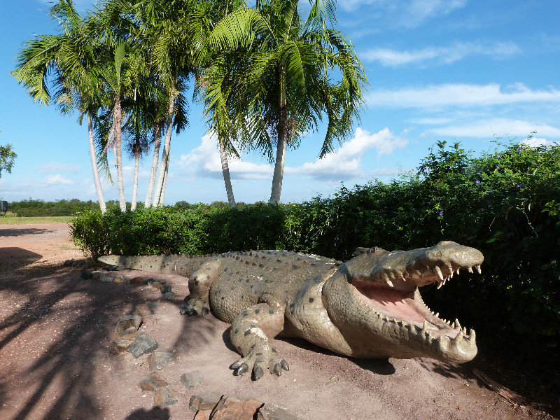 Life size killer croc - more than 8 metres long.  HUGE!