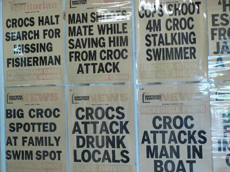 Good reasons to fear crocs