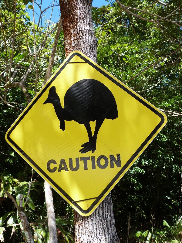 Caution - cassowary crossing
