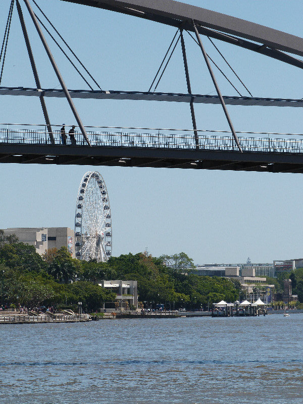 Glimpse of the Brisbane Wheel