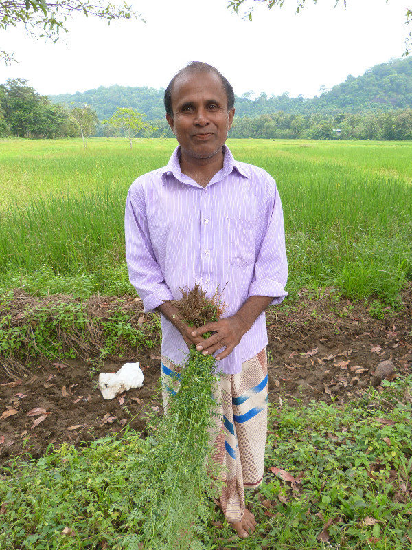 Collecting plants for medicine