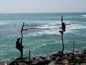 Sri Lanka's famous stilt fishermen