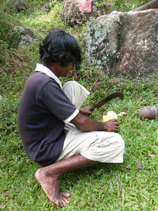 Lakshan gets a King Coconut ready for me
