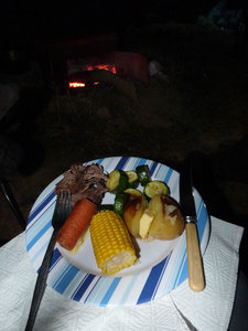 Dinner from the camp fire, delicious