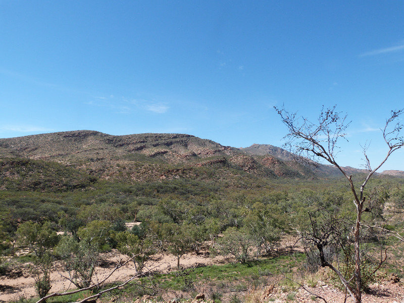 The gorgeous Larapinta Trail - Mt Sonder in the distance