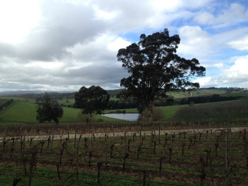 The Adelaide Hills - The Lane