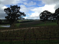 Adelaide Hills - views from The Lane