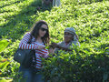 2013, on my way to Nurawa Eliya, meeting a tea lady