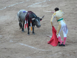 2012, Merida, the bullfight