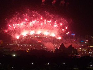 2013, Sydney celebrates