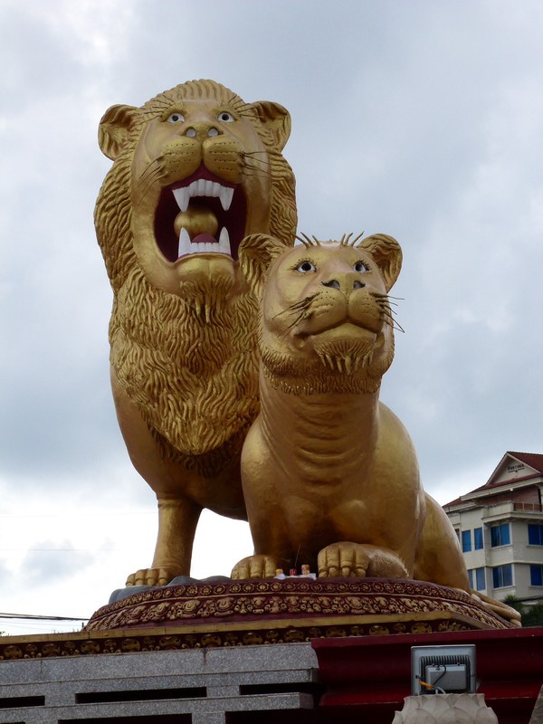 The Golden Lions