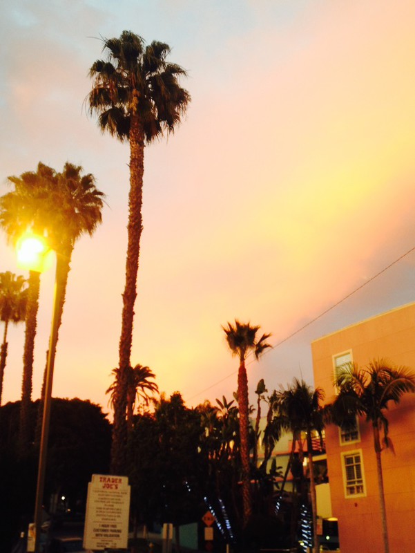 LA Sunset, just off Sunset Boulevard, West Hollywood