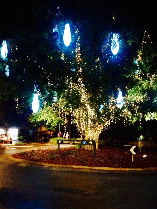 Christmas lights still going in Noosa.  Keep them all year I say!