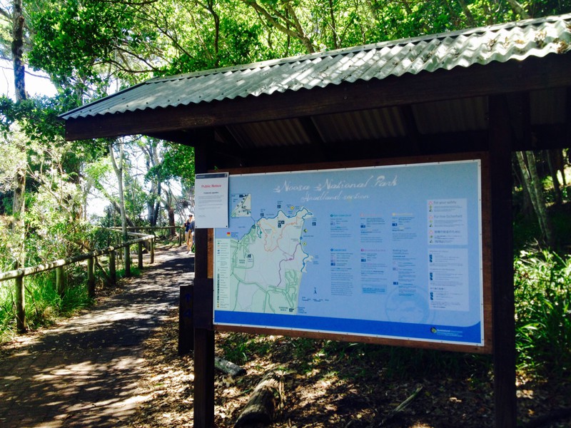 Welcome to Noosa National Park!