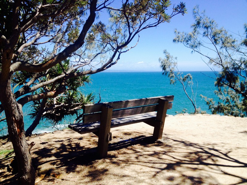 The perfect thinking spot, Noosa National Park