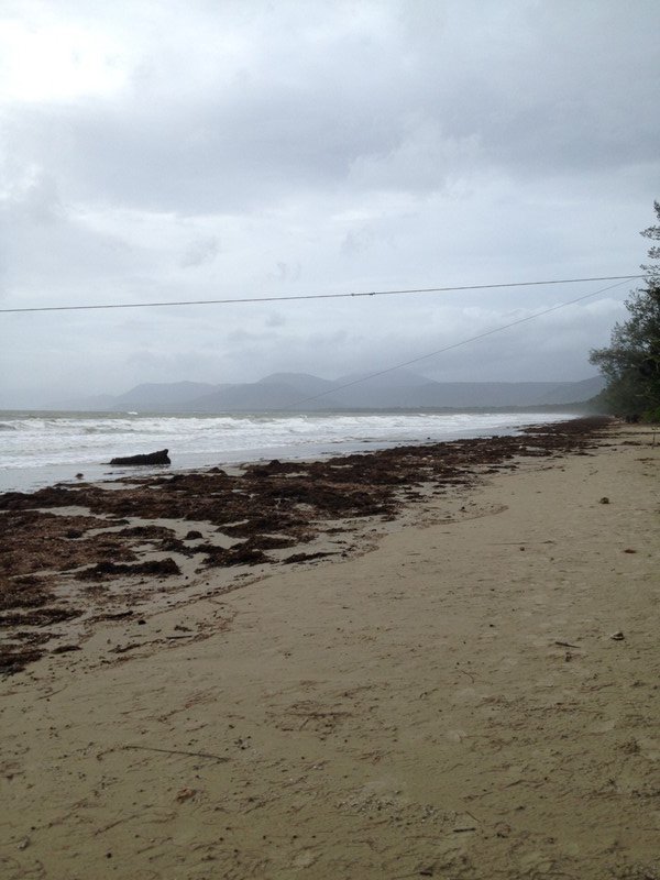 The beach at Port Douglas, post-cyclone