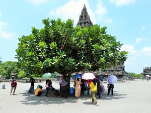 Finding some shade in the heat at Prambanan