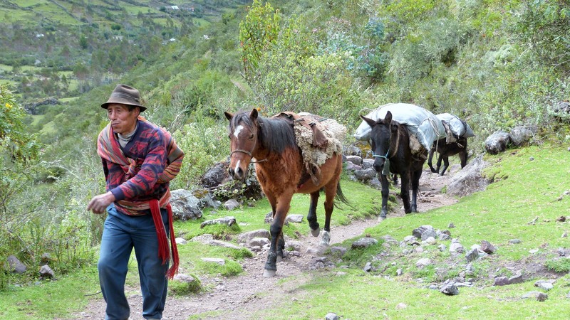 Local traffic on the Lares Trail