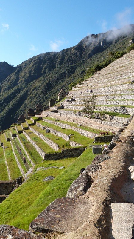 Terracing at Macchu Picchu