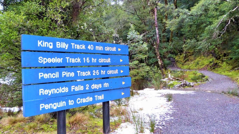 The start of the King Billy Track