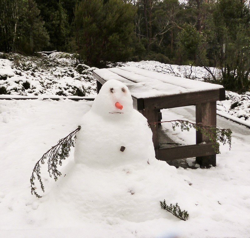 A snowman!