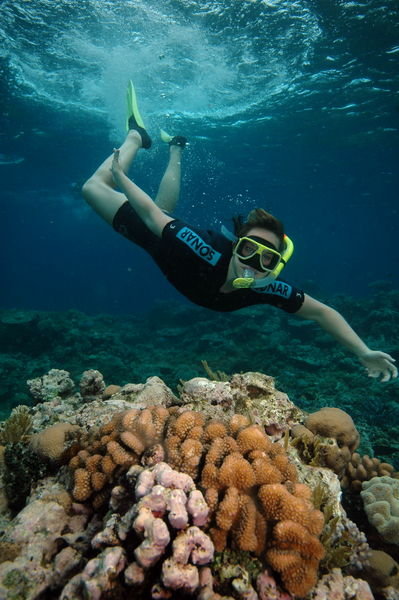 Snorkeling the Reef