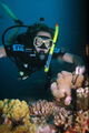 Scuba Diving the Reef