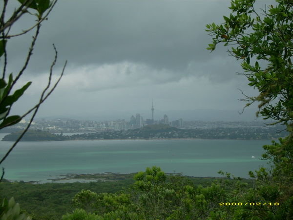 Auckland from the island